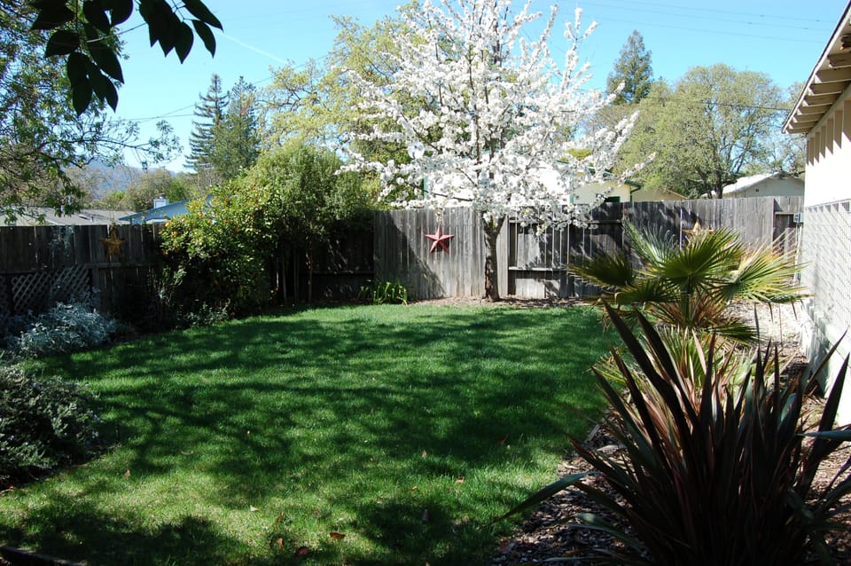 View of back yard in Spring