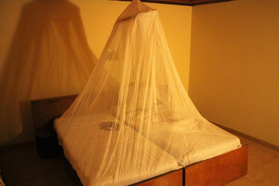 Soundproofing, free WiFi, bed sheets