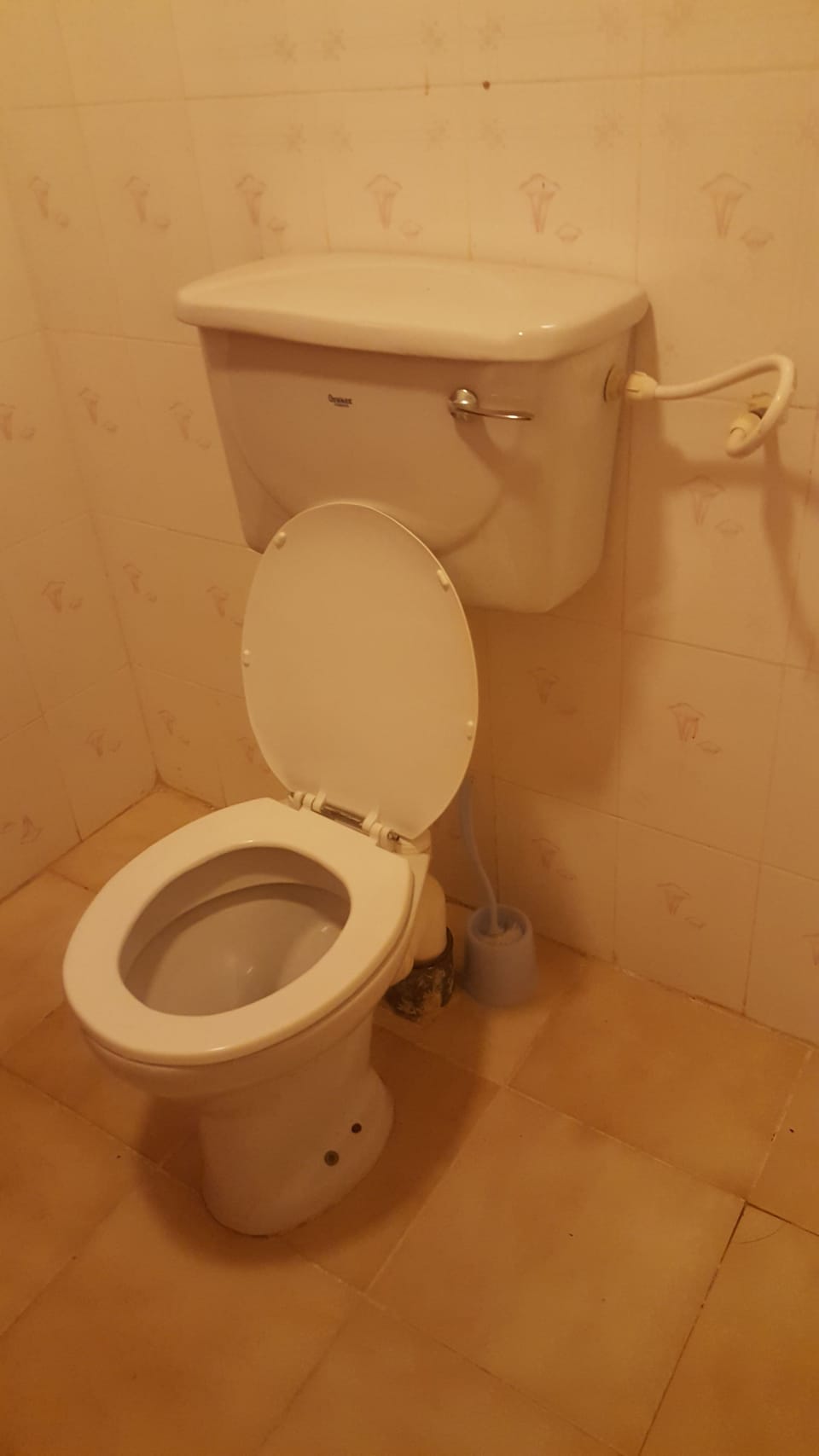 Shower, free toiletries, towels