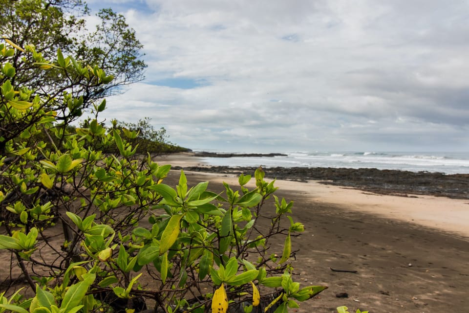 Latica Lodge Lodge in Guanacaste Province