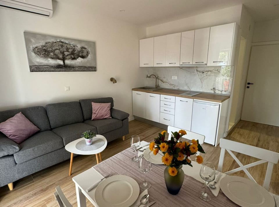 Apartment (Apartment & Rooms Papa - Two Bedroom ) | Living room | Flat-screen TV