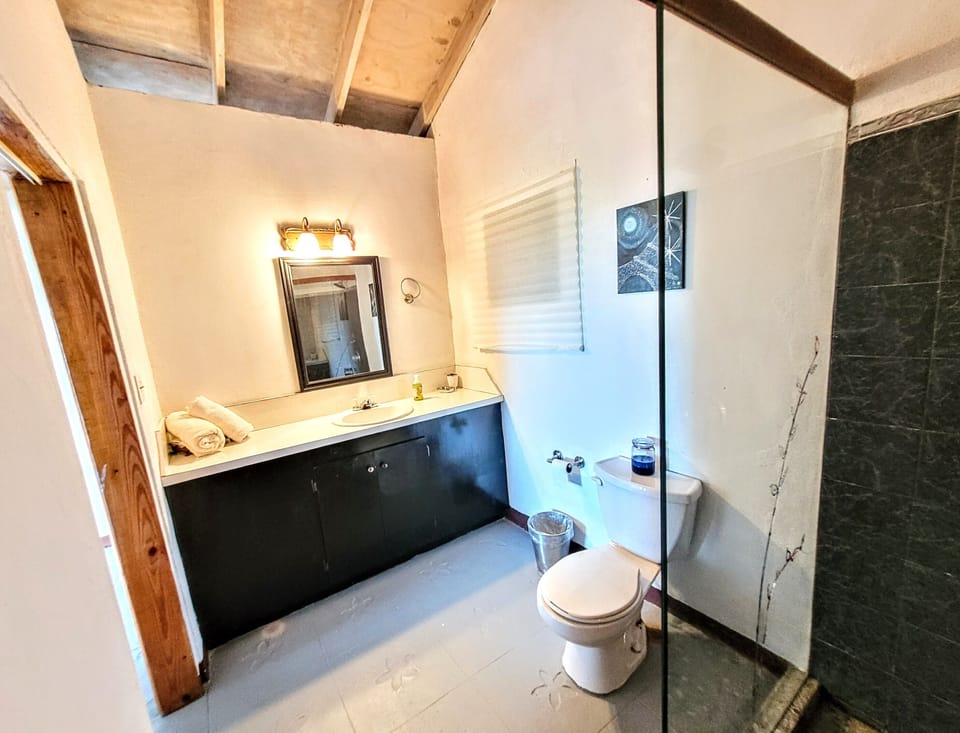 Minibar, desk, iron/ironing board, WiFi (free)