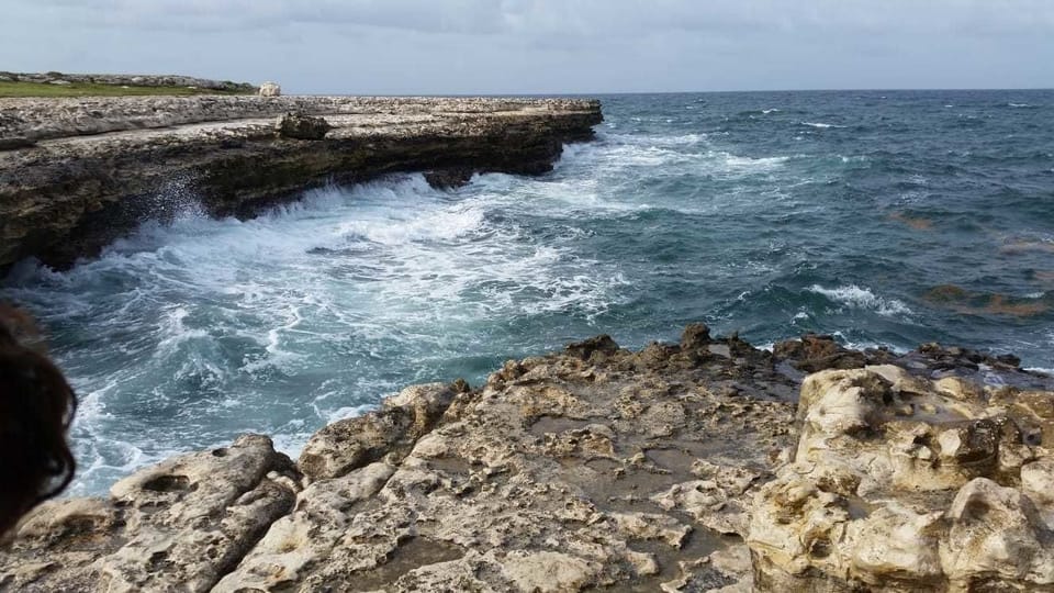 Ellen Bay Inn Bed and Breakfast in Antigua and Barbuda