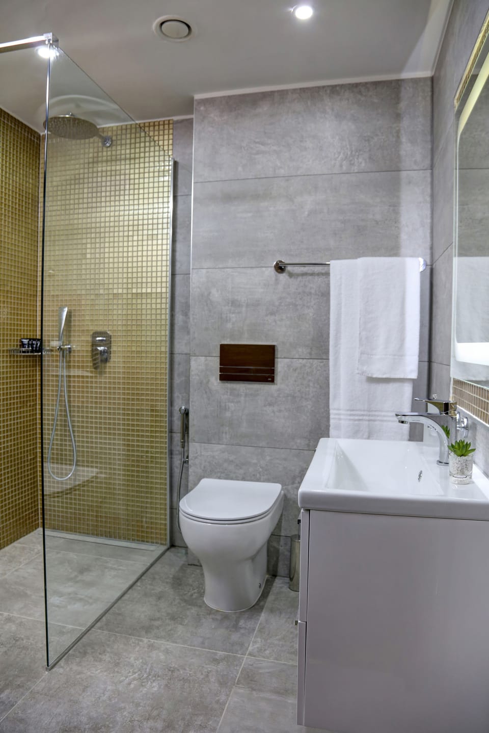 Bathroom shower