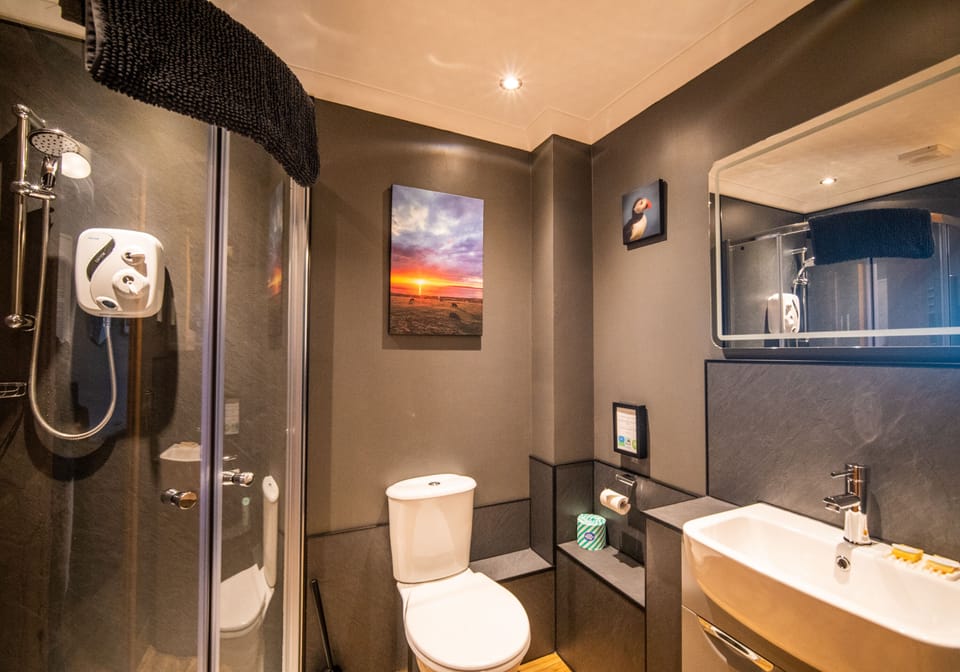 Twin Room, 2 Twin Beds, Non Smoking (Raven Room) | Bathroom | Shower, free toiletries, hair dryer, towels