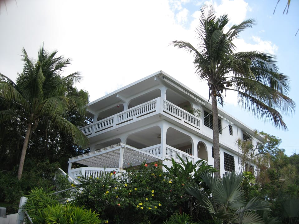 View of the house from the pool area.