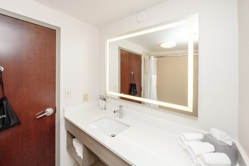 Room, 1 King Bed, Accessible (Roll-In Shower) | Bathroom | Combined shower/tub, free toiletries, hair dryer, towels