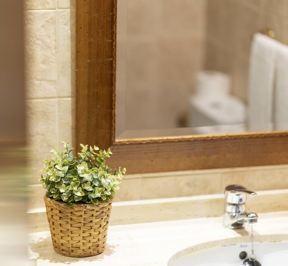 Free toiletries, hair dryer, bidet
