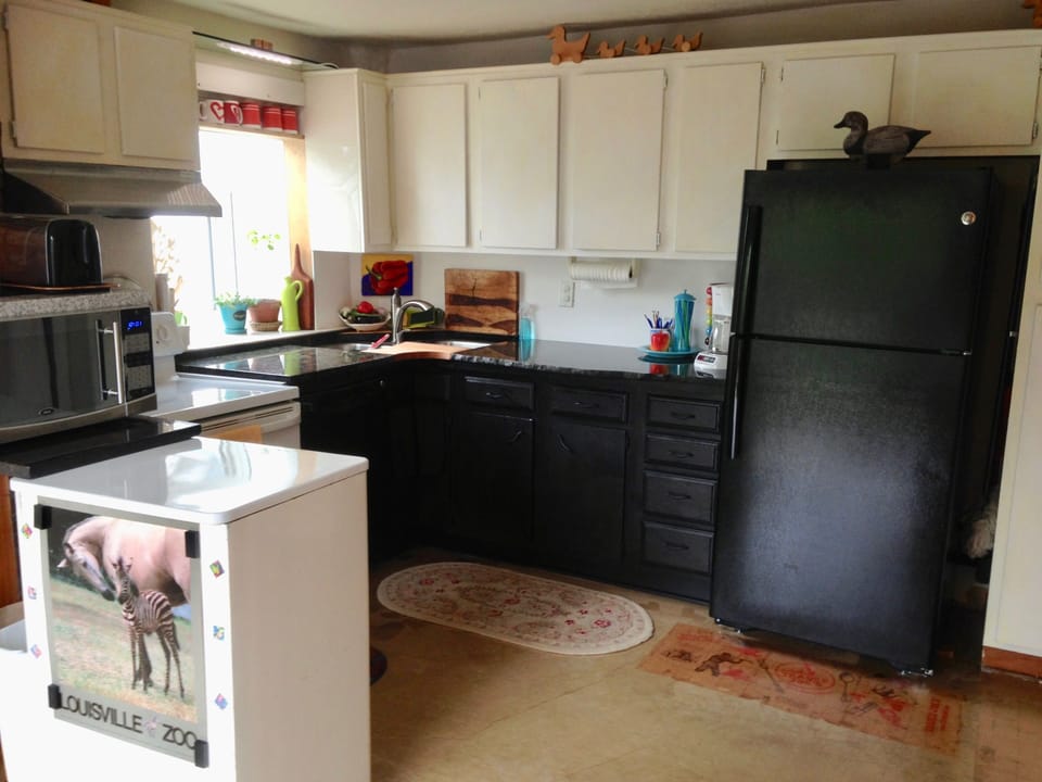 Kitchen is equipped with cookware, dishes, utensils, spices and condiments.