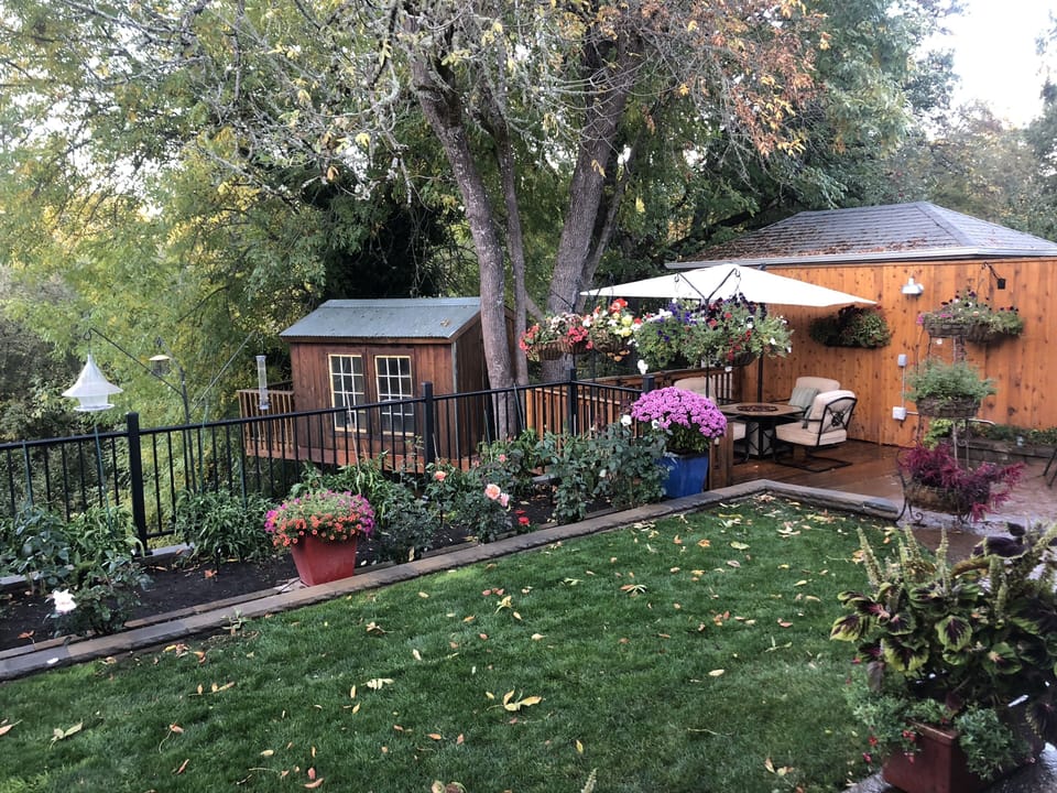 Back Patio Yard View