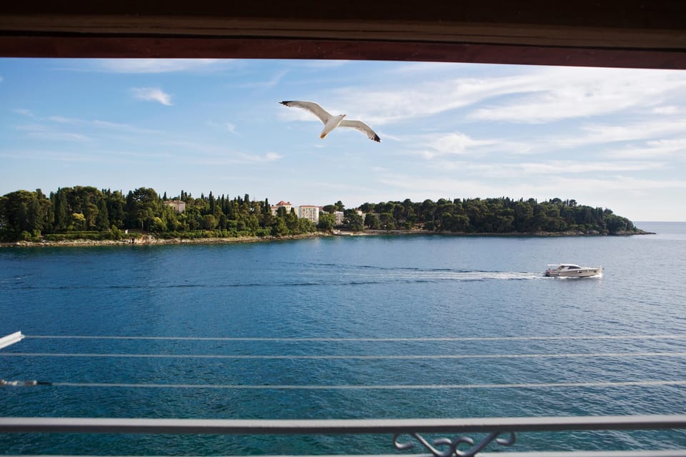 Apartment, 2 Bedrooms | View from room
