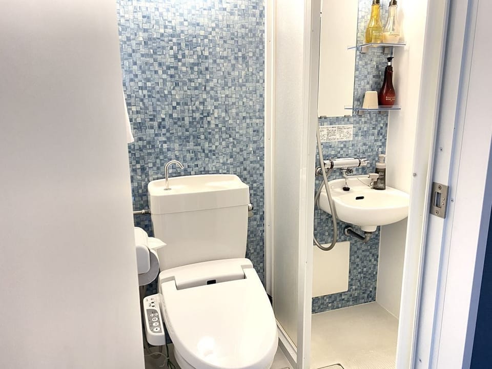 Business Twin Room, 2 Twin Beds, Non Smoking, City View | Bathroom | Shower, designer toiletries, hair dryer, slippers