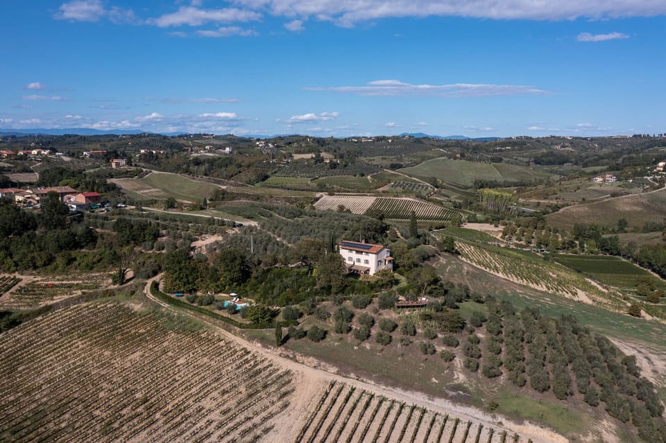 The villa is found at the end of a driveway surrounded by vineyards and olives