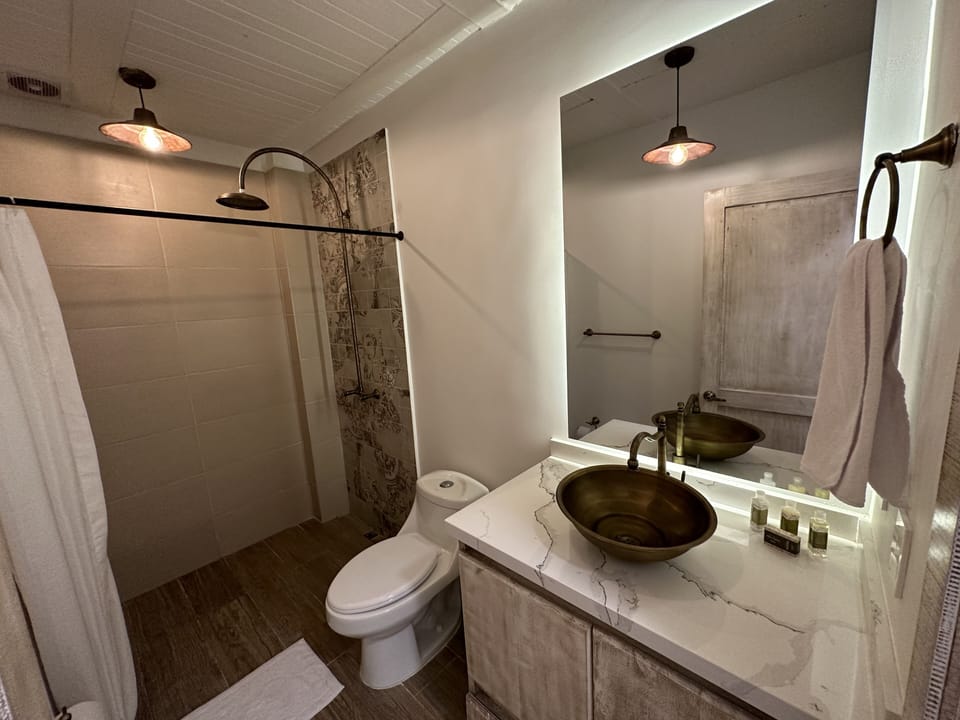 Deluxe Quadruple Room | Bathroom | Shower, rainfall showerhead, towels