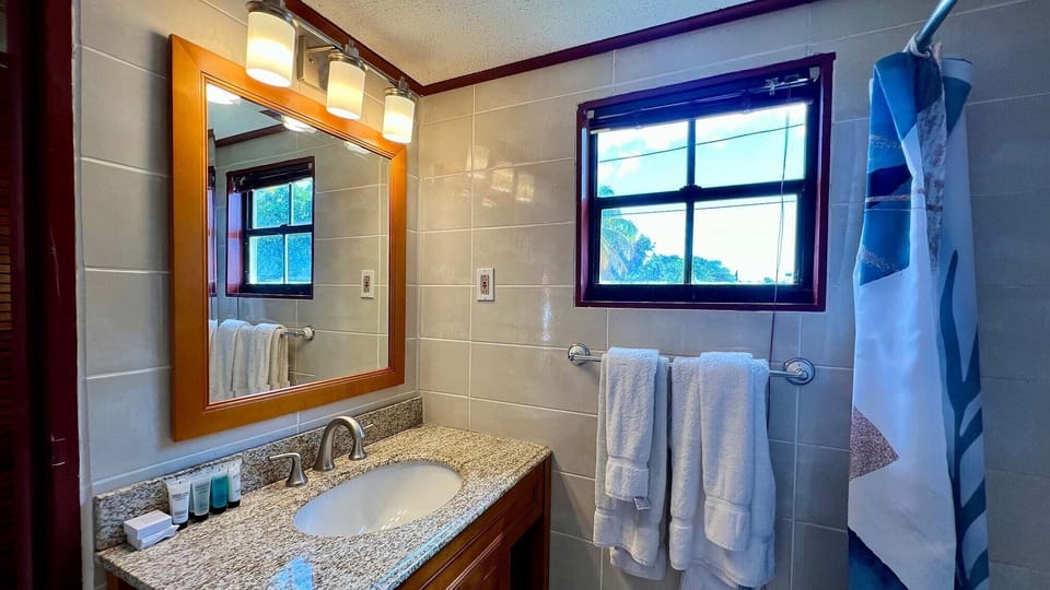 Premium Studio, 1 King Bed, Non Smoking, Pool View | Bathroom | Shower, free toiletries, towels