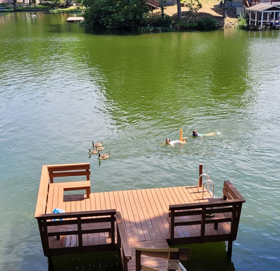 Lake House swimming