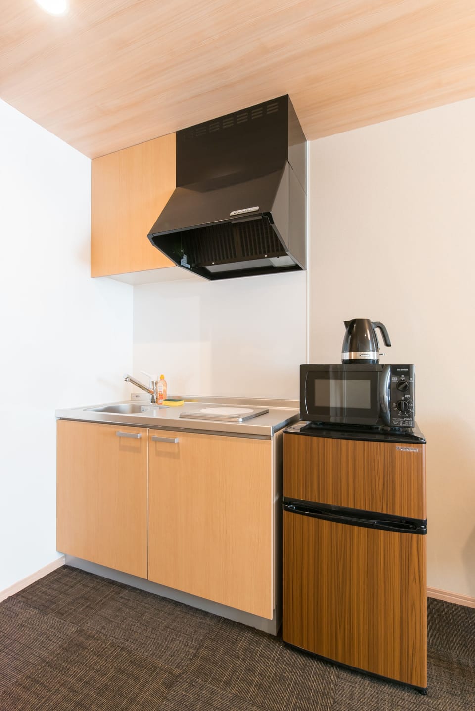 Fridge, microwave, stovetop, electric kettle