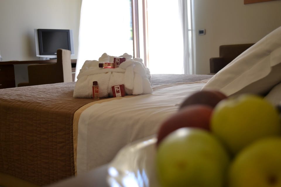Double or Twin Room | Minibar, in-room safe, desk, blackout drapes