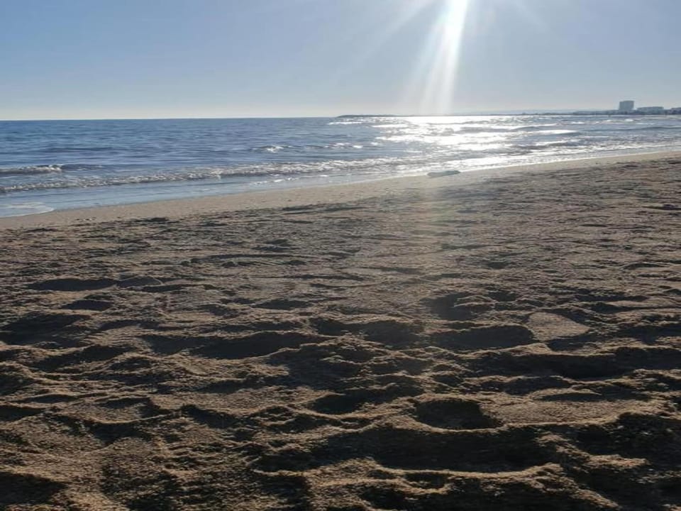 Surroundings [summer] (1-5 km)