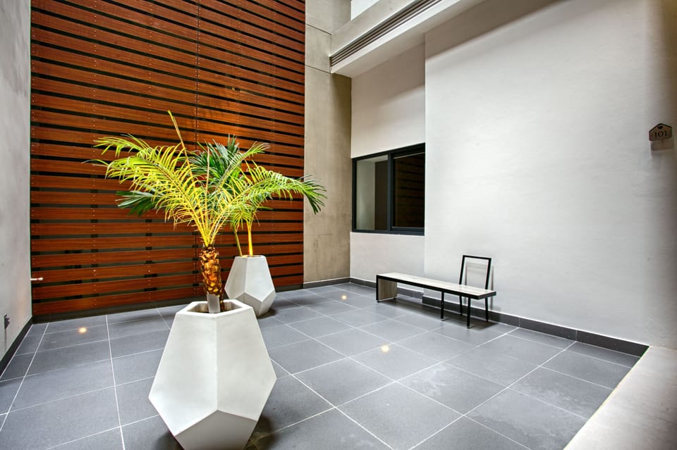 The studio's window faces this interior courtyard