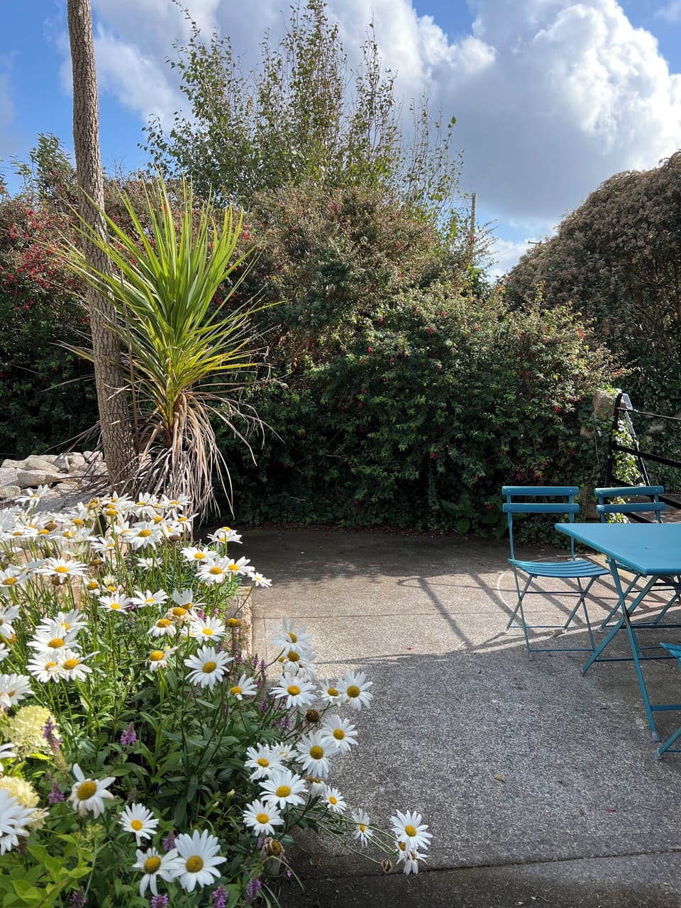 A small table and chairs for you
