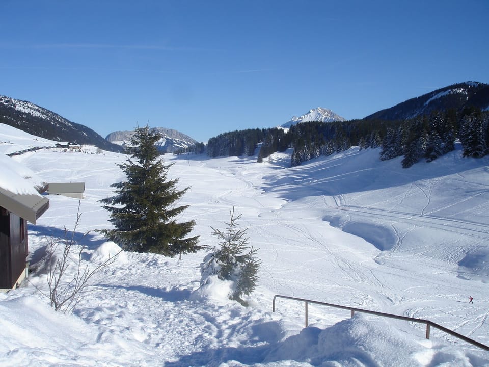 Snow and ski sports