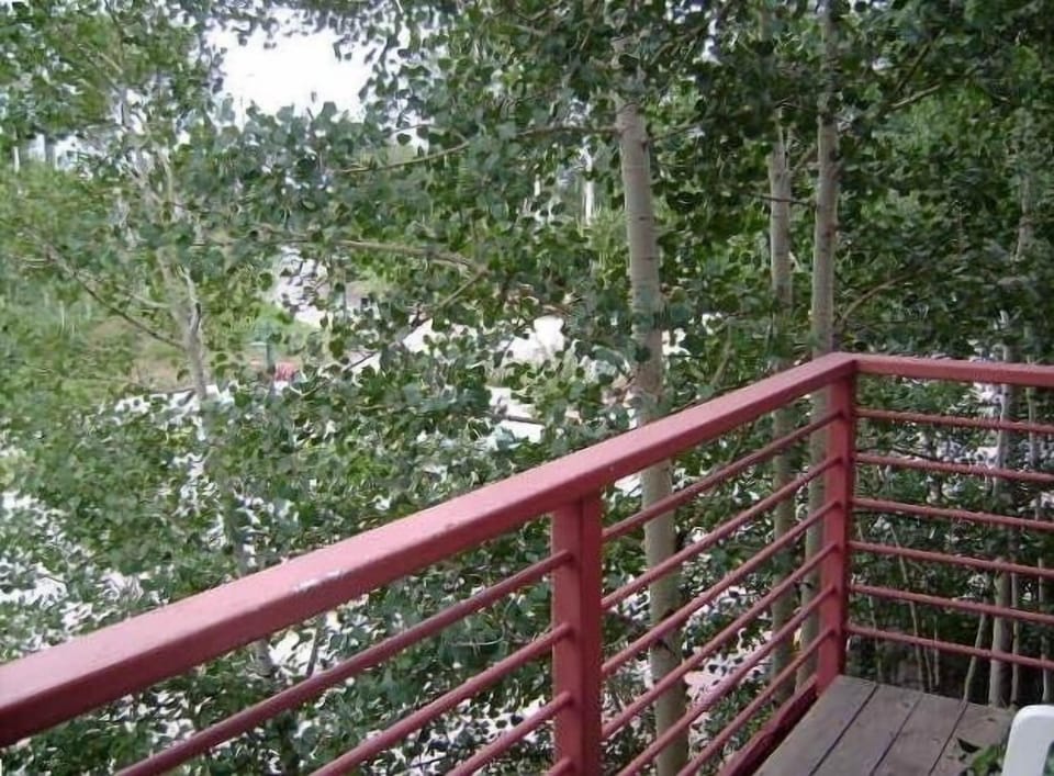 Deck off of the living room.  Natural gas grill is behind you.