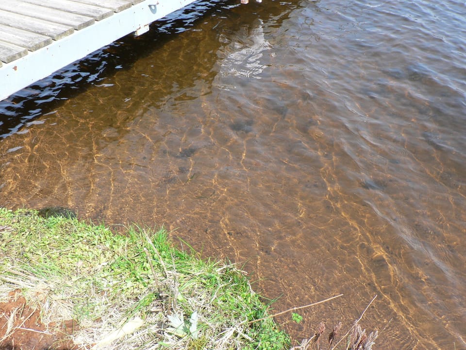 Clear Sandy Bottom. Taken in Mid May
