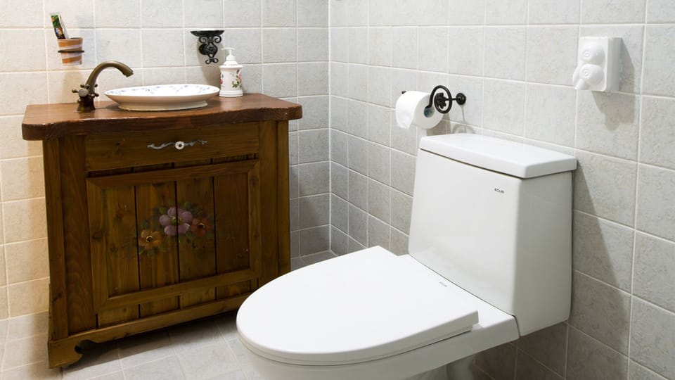 Shower, free toiletries, hair dryer, slippers