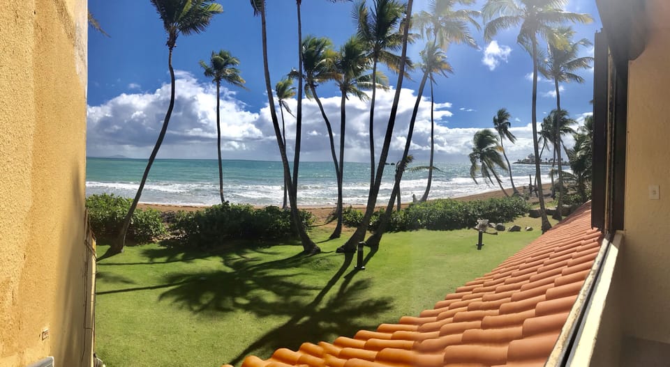 View from the Balcony
