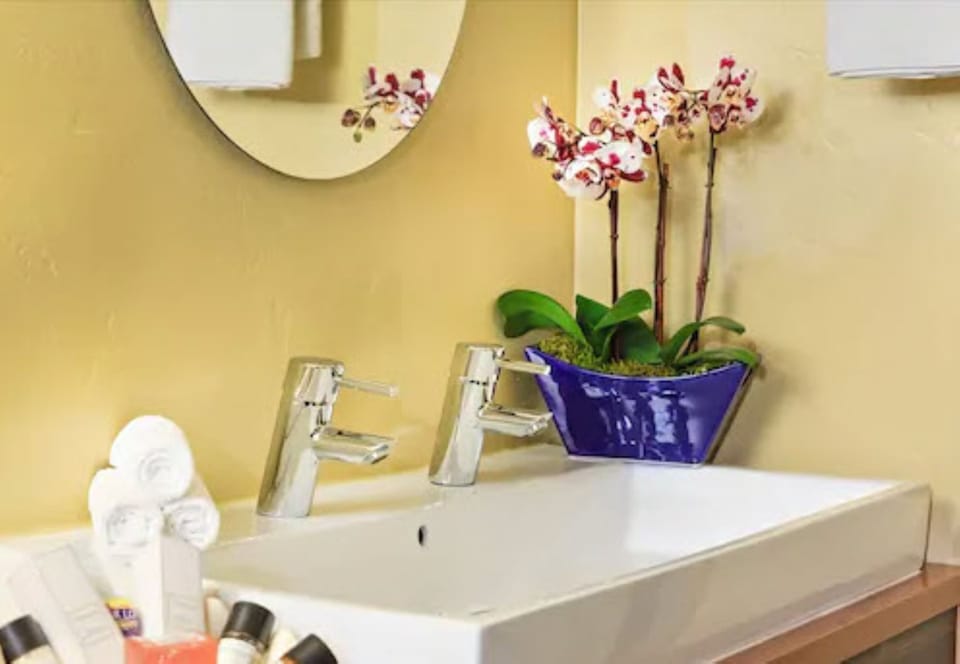 Shower, designer toiletries, hair dryer, towels