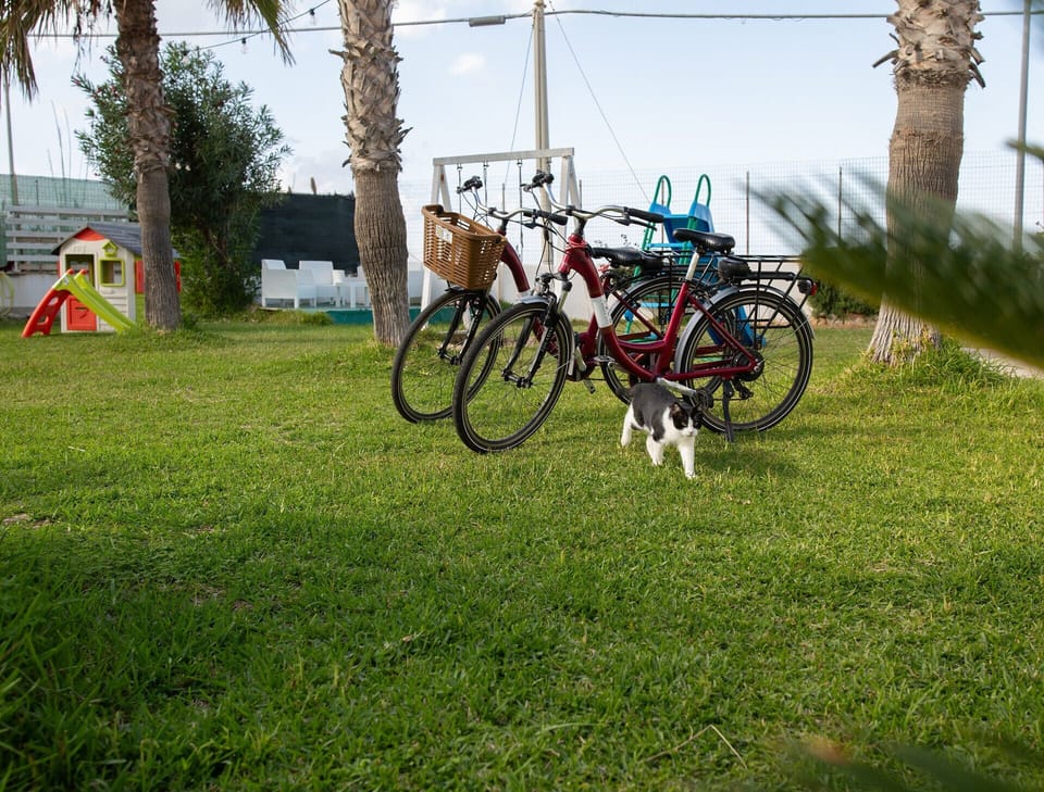 Noleggio Bici Elettriche 