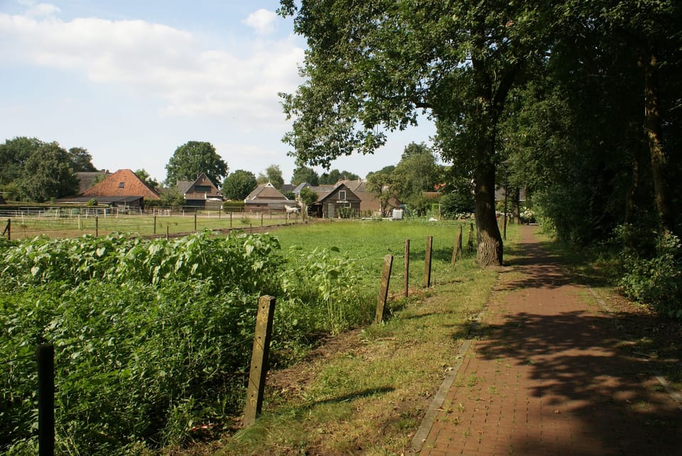Bicycle path alongside 'Under the Oaks'