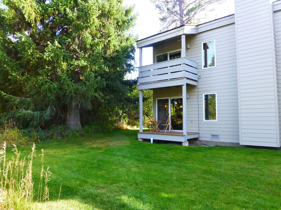 Back yard