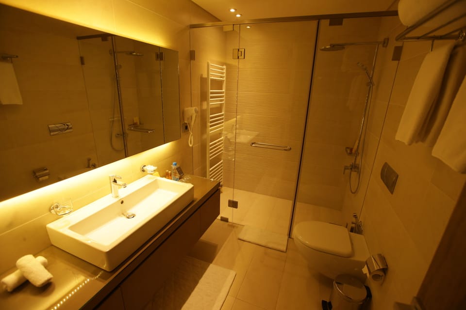 Shower, hydromassage showerhead, free toiletries, hair dryer