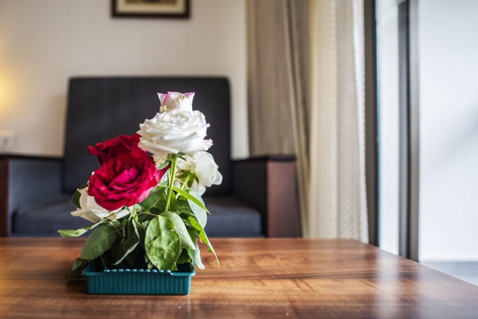 Jungle Room | Room amenity