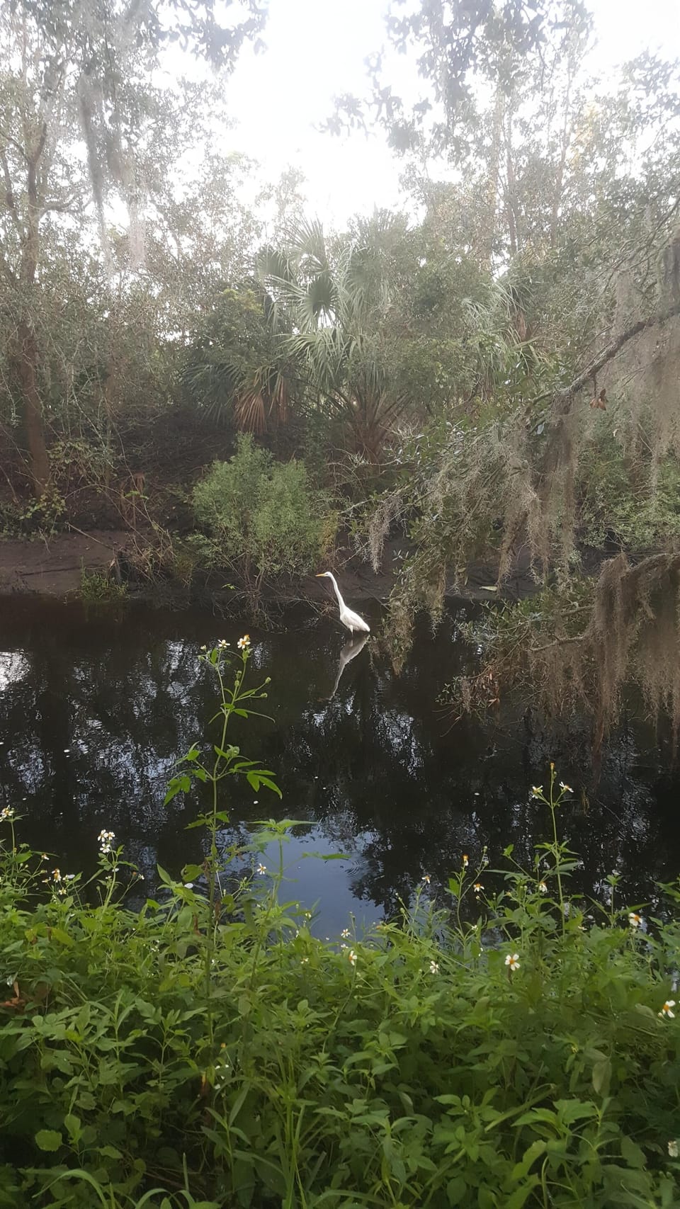 Egan's Creek Greenway