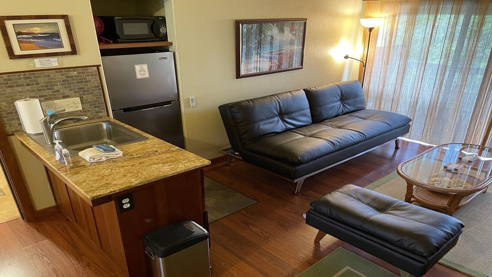 Kitchen / Den with new pullout couch (with USB charging ports)