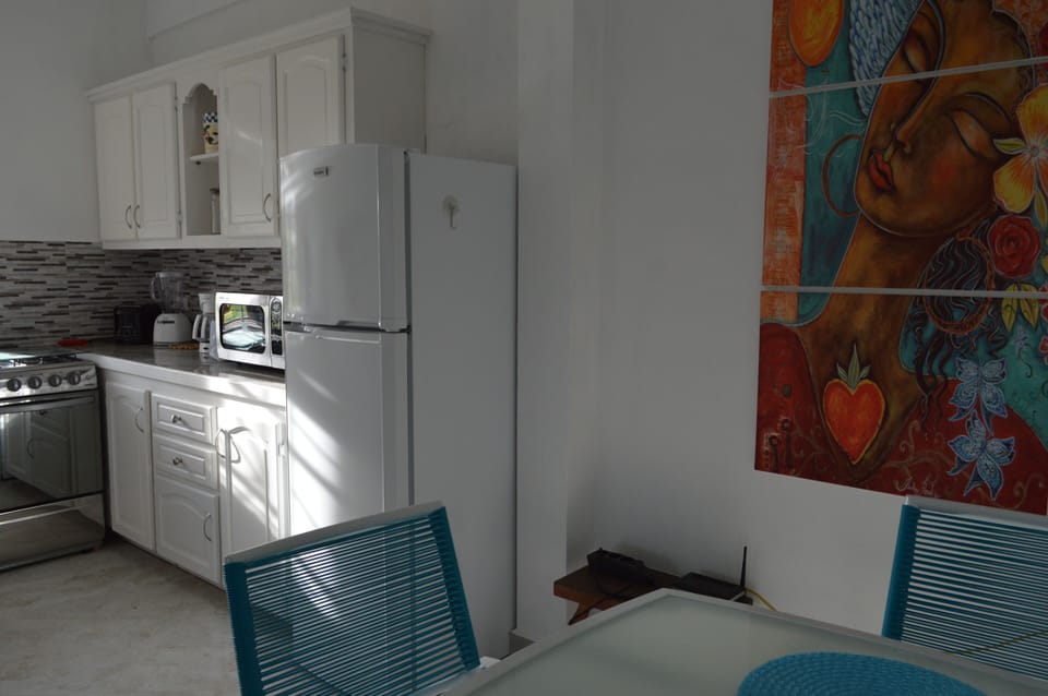 Frangipani Apartment - The Kitchen
