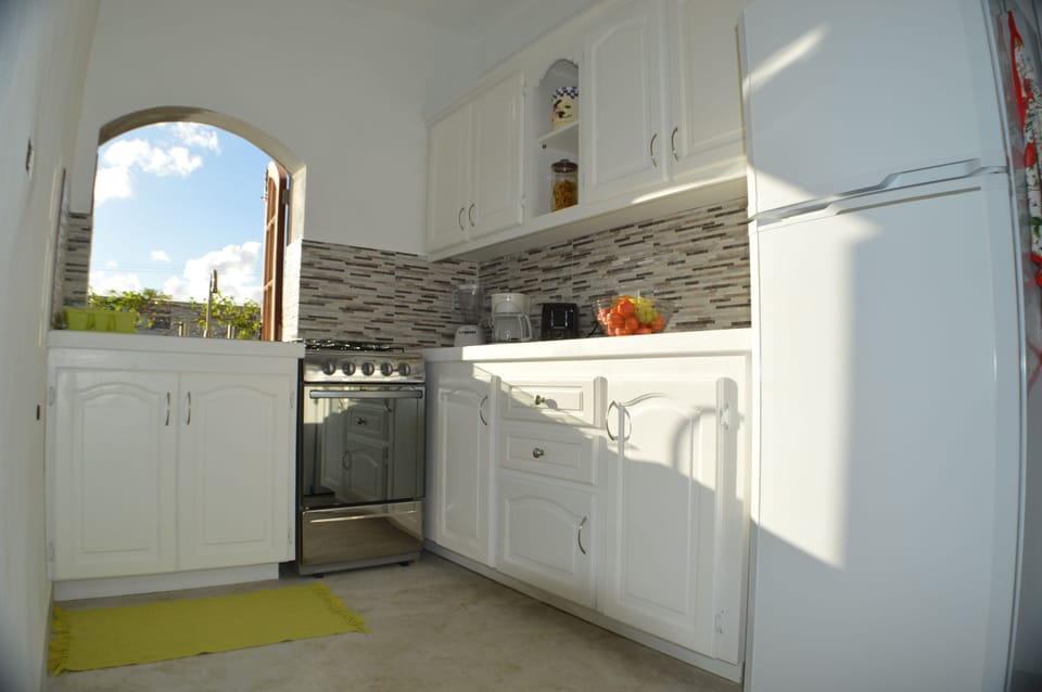 Frangipani Apartment (the kitchen)