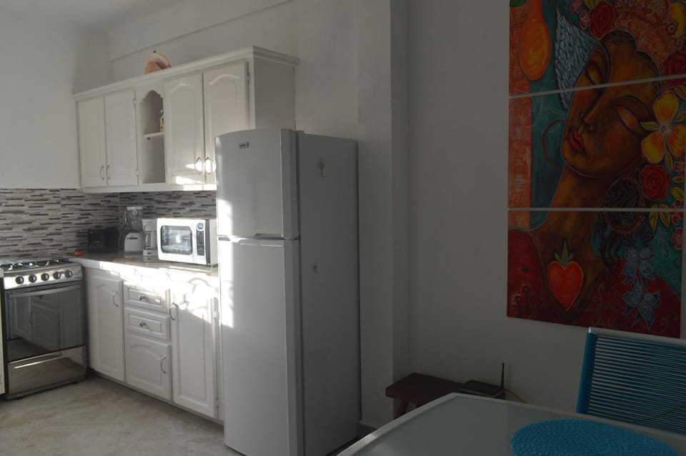 Frangipani Apartment - The Kitchen
