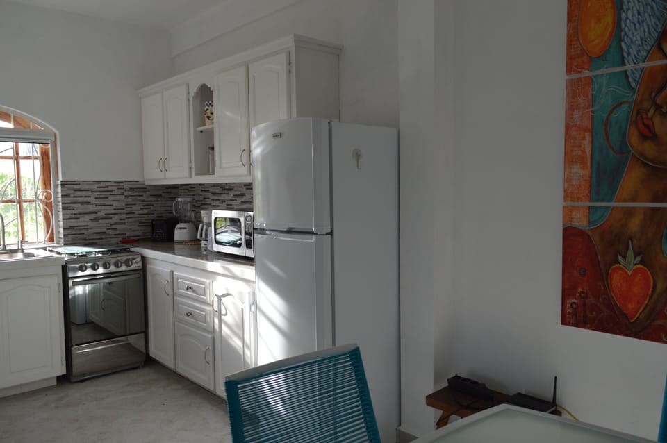 Frangipani Apartment - The Kitchen