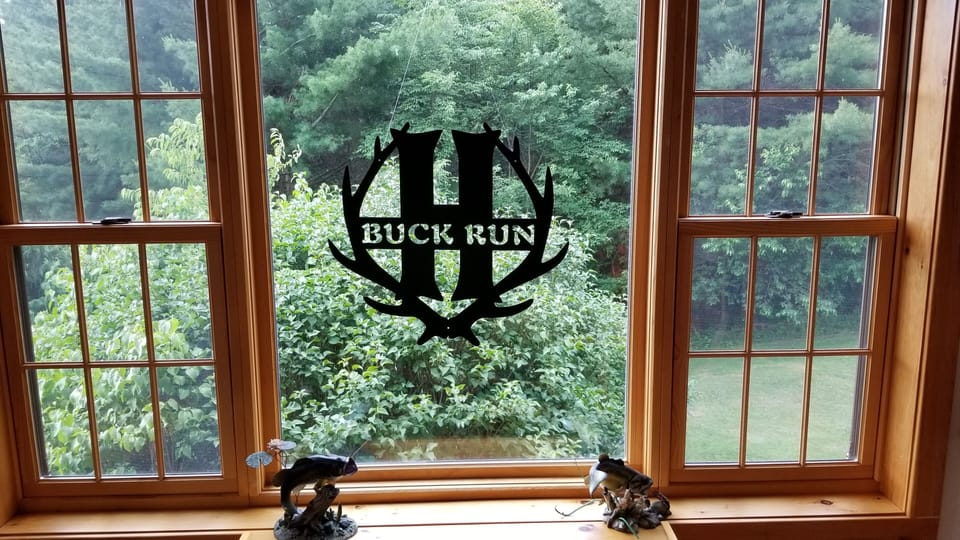 View from kitchen table