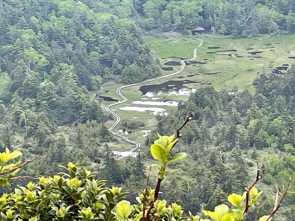 View from property