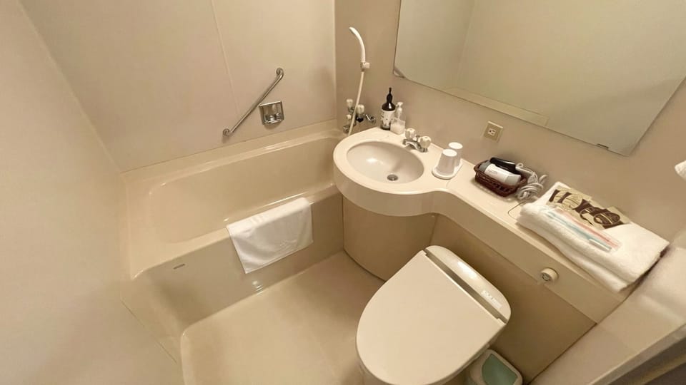 Combined shower/tub, free toiletries, hair dryer, slippers