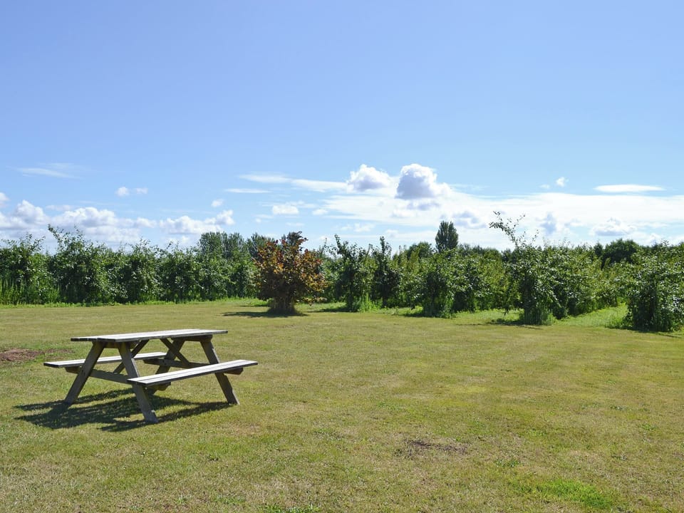 Garden and grounds | Hawthorne Cottage, Preston, Canterbury