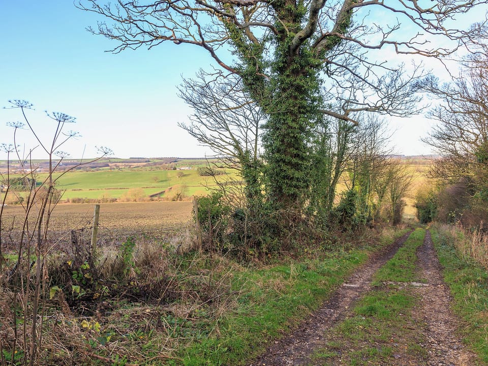 Walk to river | Old Hall Cottages - 1 Old Hall Cottage, Byers Green, nr. Durham