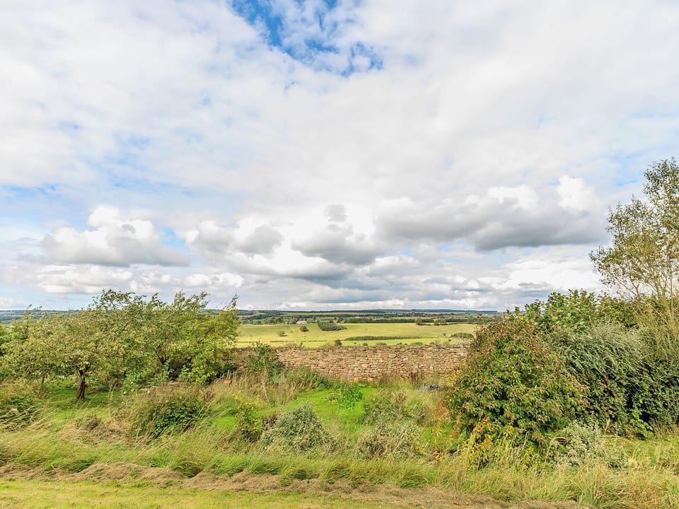Double bedroom | 1 Old Hall Cottage - Old Hall Cottages, Byers Green, near Durham