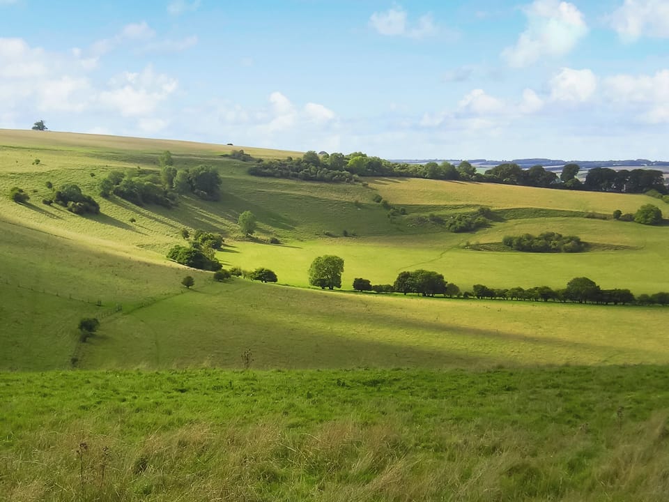 An upland walk | The Old Post Office, Lower Bockhampton