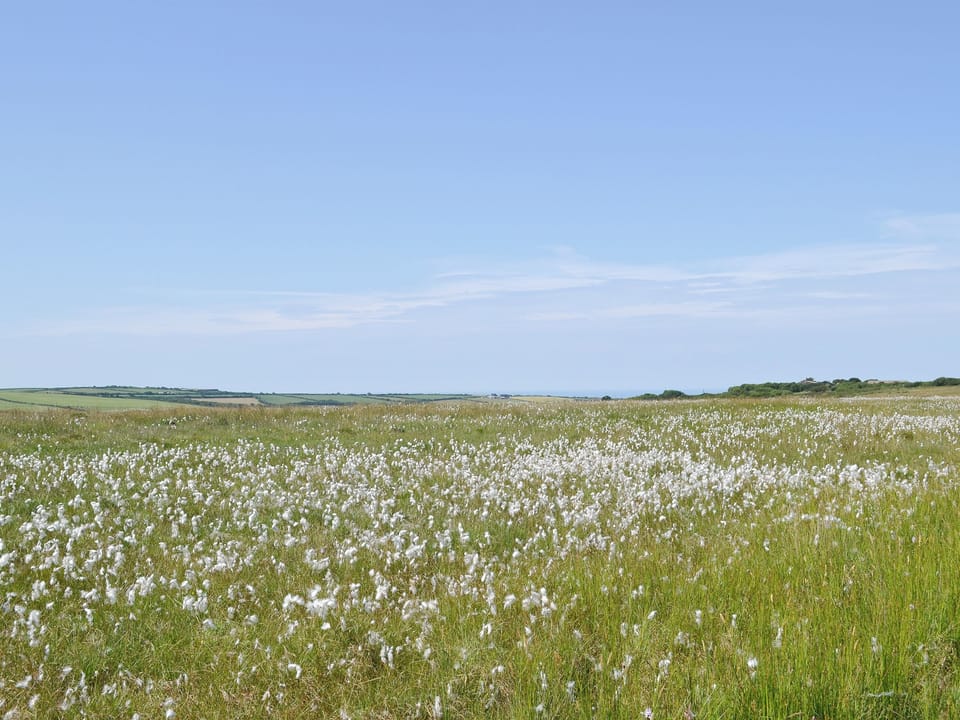 Bursdon moor close by | Swallows Retreat, Hartland